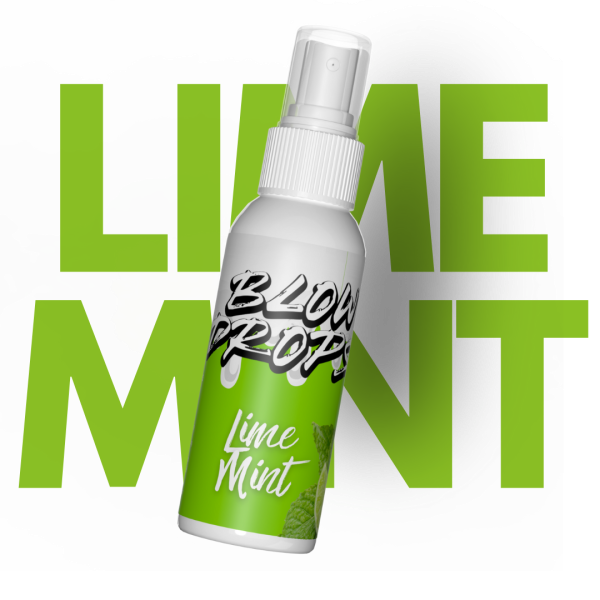 Limette Minz Zu verkaufen